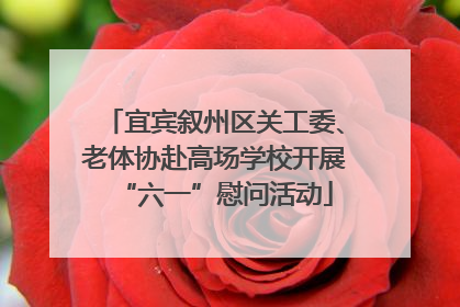 宜宾叙州区关工委、老体协赴高场学校开展“六一”慰问活动